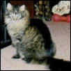 BearBear (small)
