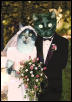 Diana & Midnight Wedding Picture