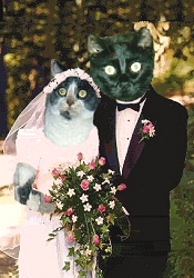 Diana & Midnight Wedding Picture