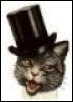 (small) Mayor Catnip