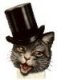 (small) Mayor Catnip