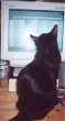 Magic At Computer (small)