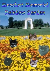 MCV Meowmorial Garden