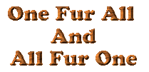 One Fur All, All Fur One