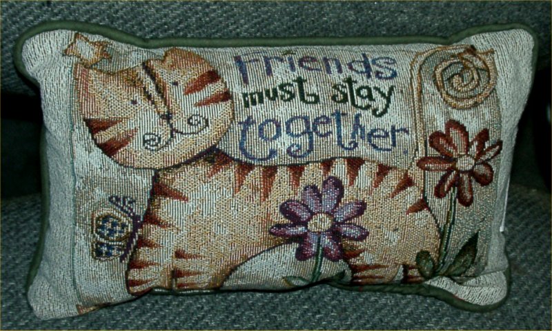 Cat Pillow View 1
