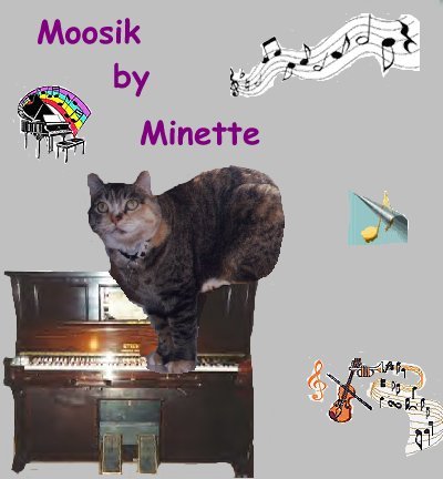 Moosik By Minette