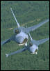 MeowChat Air Furce Silver Eagles