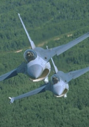 MeowChat Air Furce Silver Eagles