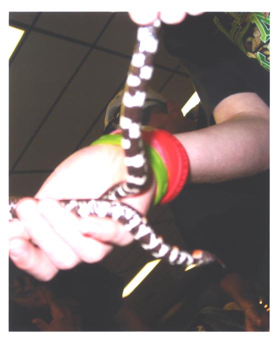 second pic of cylinder snake