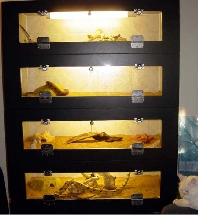 Cage Stack