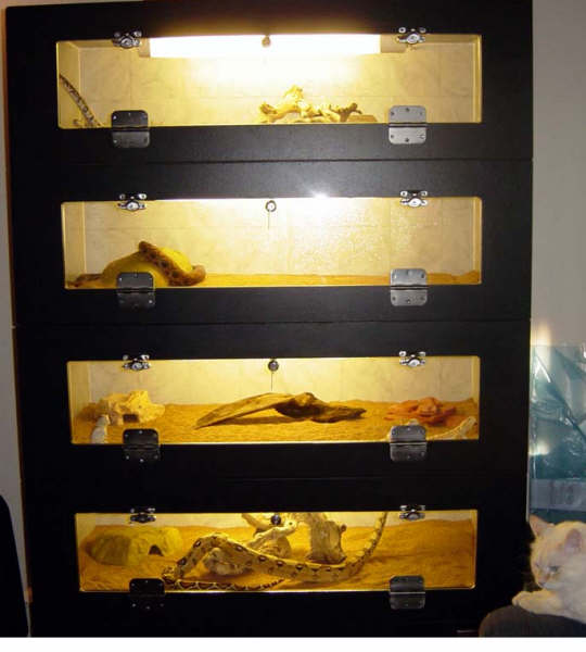 Cage Stack
