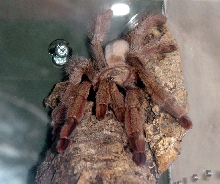 Pretty girl!
