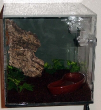 Medusa's cube