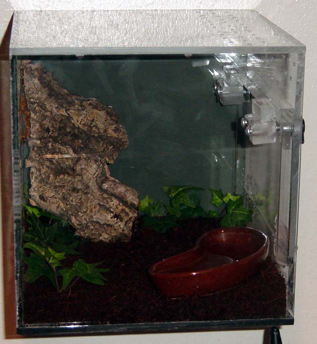 Medusa's cube
