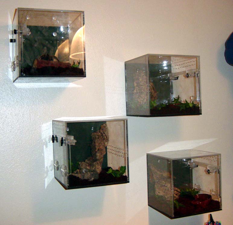 On the wall!