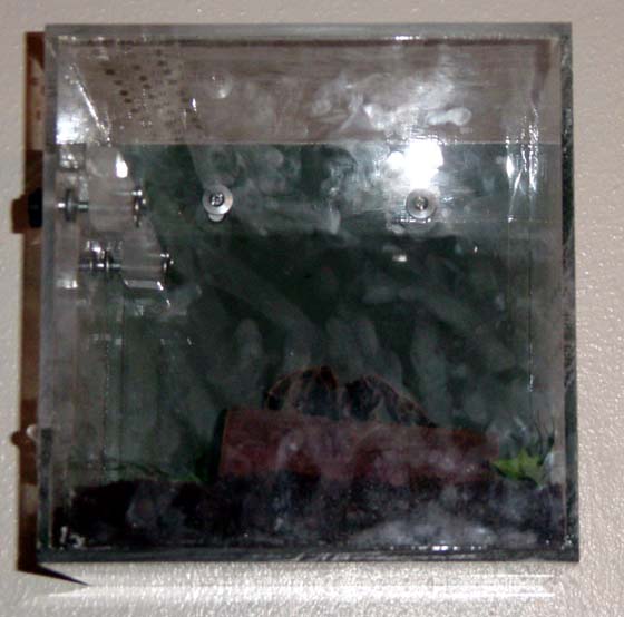 Princess' cube