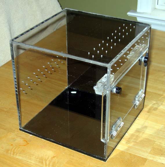 Tarantula Cube