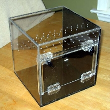 Tarantula Cube