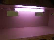 inside 4ft boamaster.com cage