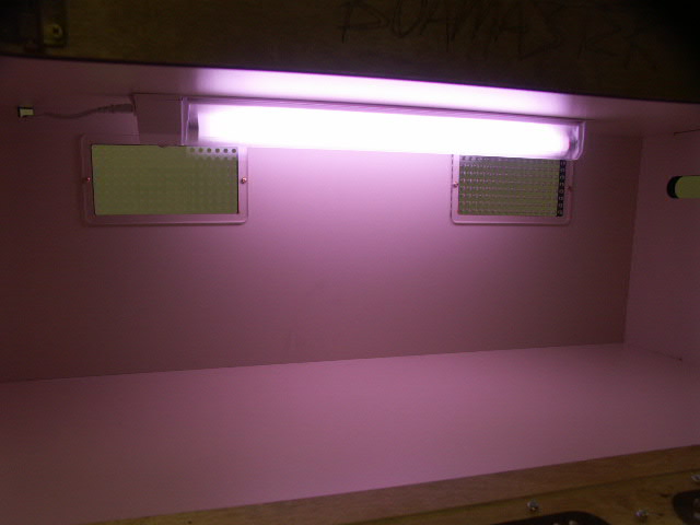 inside 4ft boamaster.com cage