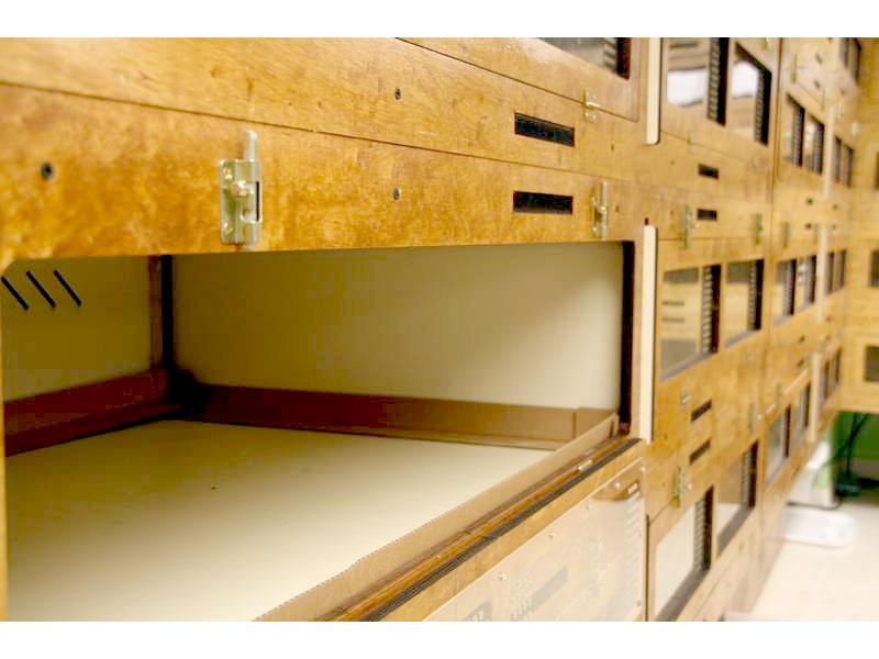 boamaster corner liner