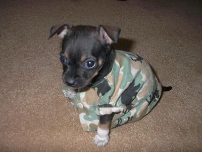 AnnaBell Supporting Our Troops
