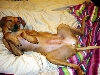 Couch potato
