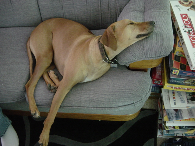 Couch potato 2