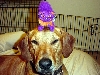 Joie and her favorite toy