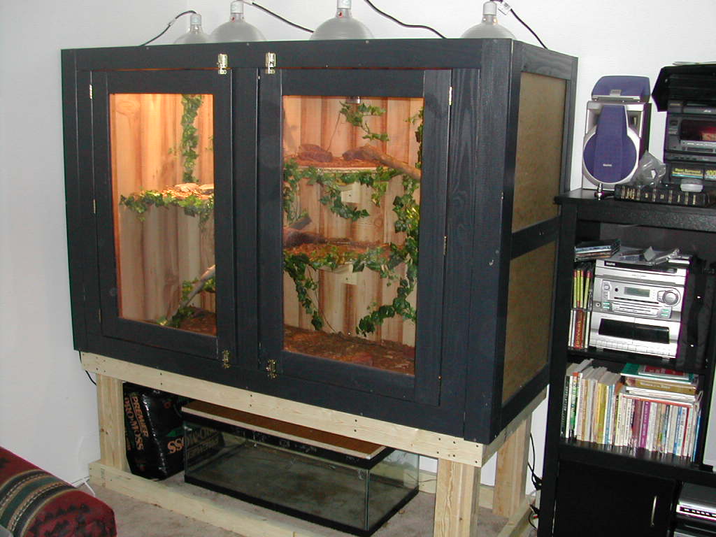 Large Boa Home