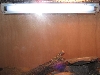 Collared UV light