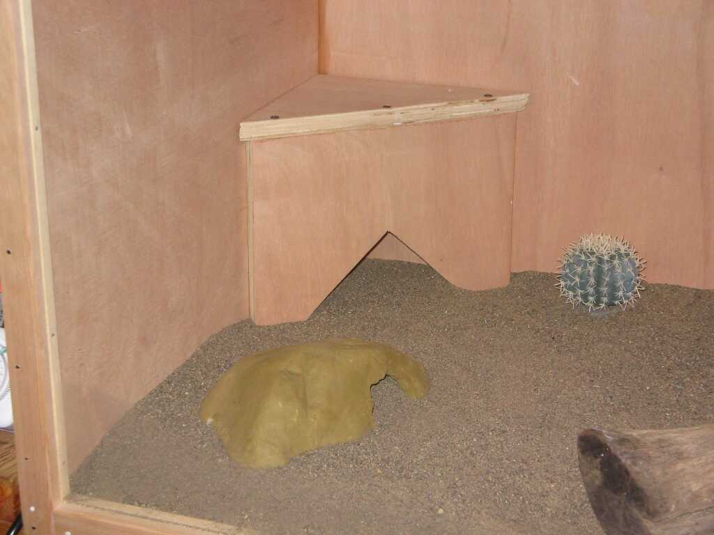 Hideout for collard