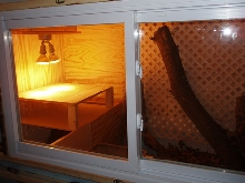 enclosure for salvator
