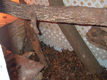 sulfurs enclosure