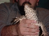me and dino