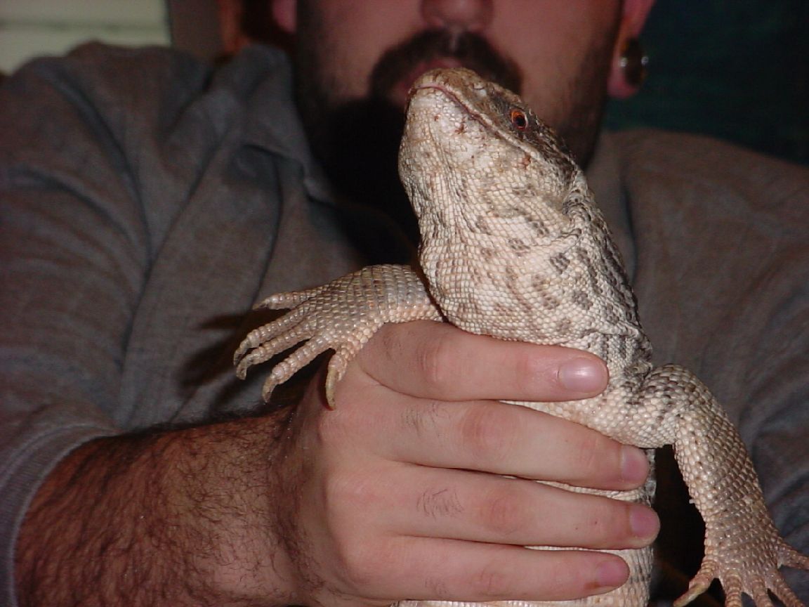 me and dino