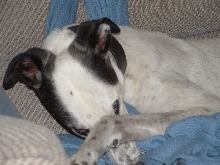 im trying to sleep mum!