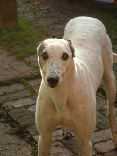 isn't he just gorgous!