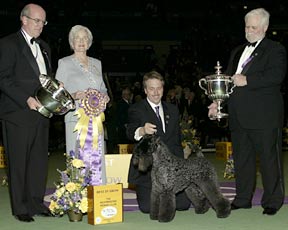 BIS, Westminster 2003
