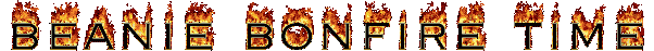 beanie bonfire2