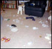 carnage