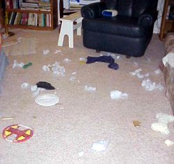 carnage