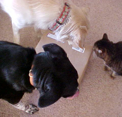 package inspectors