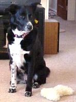 cleo and stuffie