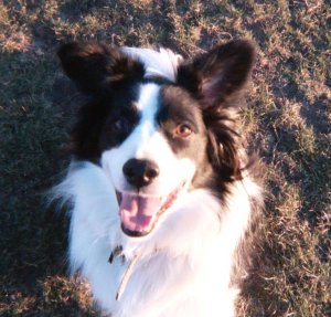 may i have a treat, please?