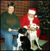 christmas at the humane society