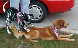 Domino and Maggie