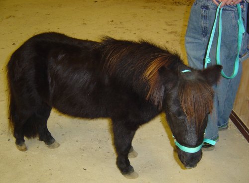 falabella