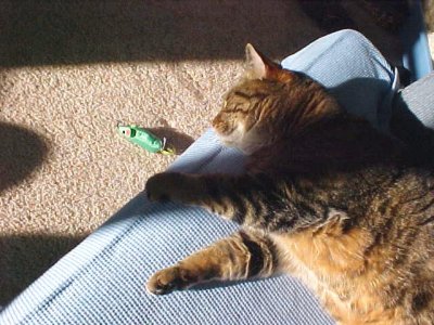 do i really want that mouse