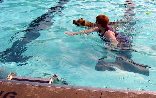 Iowa City Dog Paddle 2005